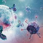 Agenus and Zydus sign agreements for botensilimab and balstilimab