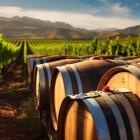 Should You Invest in Duckhorn Portfolio (NAPA)?