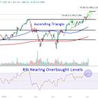 Watch These CrowdStrike Price Levels as Stock Drops From Record High on Light Outlook