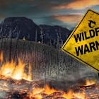 Alberta’s wildfires disrupt 350,000 barrels of daily crude production