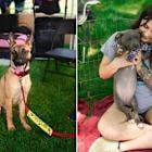 Pet Supplies Plus Hosts "Best Adoption Event Ever" in Rochester Hills to Help Local Pets Find Forever Homes