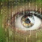 Top Research Reports for Meta Platforms, Palantir & Abbott