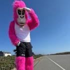 Skechers Named Official Footwear Partner of Bay to Breakers Powered by Windsurf 2025