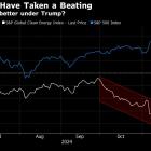 Janus Henderson Manager Says Trump Era May Be Good Time for Green Bets