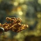 Sanatana Resources to acquire Gold Strike Two Project in Canada from LIRECA