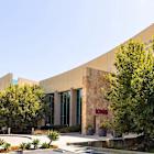 Ionis doses first subject in Phase III trial of Angelman syndrome therapy