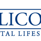 Millicom (Tigo) files standard form for notification of major holdings