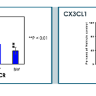 QLGN: Dosing Begins in Phase 1 Trial of QN-302…