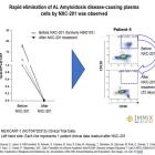 Immix Biopharma Announces 100% Overall Response Rate (n=10); 23.7 months Best Response Duration (ongoing) for CAR-T NXC-201 in Relapsed/Refractory AL Amyloidosis Patients at ASH 2023