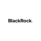 BlackRock Expands iShares Build ETF Toolkit with Industry’s First S&P 500 3%-Capped Weighted ETF
