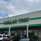 Dollar Tree appoints longtime Walgreens exec as chief supply chain officer