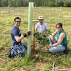 Potomac Edison Employee Volunteers Plant 2,000+ Donated Trees in Maryland and West Virginia