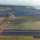 Solar farm meant to power 100,000 homes will supply Tesco supermarkets instead