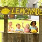 Is Lemonade Stock a Millionaire Maker?