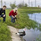 Sustainability Report: Proactively Protecting Biodiversity
