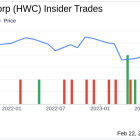 Insider Sell: Chief Credit Officer Christopher Ziluca Sells 3,636 Shares of Hancock Whitney ...