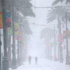 Crop Trader Declares Force Majeure Along US Gulf During Rare Southern Snow