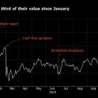 Brookfield Weighs €6.45 Billion Bid for Grifols; Shares Drop