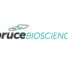 Penny Stock Spruce Biosciences Winds Down Tildacerfont Studies For Rare Genetic Disorder