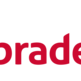 Bank Bradesco SA (BBD) Q4 2024 Earnings Call Highlights: Strong Net Income Growth and Digital ...