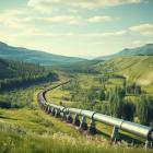 Mach Natural Resources LP (MNR): Among the Dividend Paying Stocks Insiders Are Buying