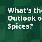 What's the Outlook on Spices?