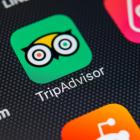 TripAdvisor Stock Plunges as Committee Suggests No Sale Imminent