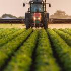 FMC Insiders Placed Bullish Bets Worth US$2.36m