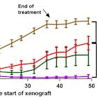 Aprea Reports Anti-Proliferative Results and Promising Early-Stage Clinical Data for Next-Generation WEE1 Inhibitor, APR-1051, in HPV+ Head and Neck Squamous Cell Carcinoma (HNSCC) in Collaboration with MD Anderson Cancer Center