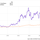 2 Unstoppable Healthcare Stocks to Buy Right Now With Less Than $200