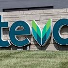 Teva Stock Jumps On Outlook. CEO Touts 'Real Clarity' On Future Profits.