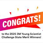 3M and Discovery Education recognize 32 State Merit Winners and 4 honorable mentions in 2025 3M Young Scientist Challenge