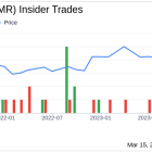 Immersion Corp (IMMR) Director Elias Nader Sells 13,000 Shares