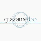 Gossamer Bio Inc (GOSS) Q1 2025 Earnings Call Highlights: Strategic Progress Amid Financial ...