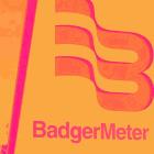 Badger Meter (NYSE:BMI) Beats Expectations in Strong Q2