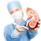 Akebia Therapeutics (AKBA) Grants Stock Options to New Employees
