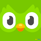 Duolingo: The Owl is Alive