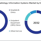 Asia Pacific Radiology Information System Industry Analysis Report 2025-2032 | Growth Fueled by Healthcare Investments and Digital Transformations