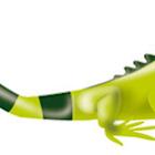 Ecopetrol S.A. Board of Directors Announcement