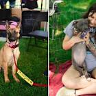 Pet Supplies Plus Hosts "Best Adoption Event Ever" in Rochester Hills to Help Local Pets Find Forever Homes