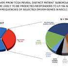Lantern Pharma Secures FDA Clearance for Planned Phase 1b/2 Trial of LP-184 in Biomarker-Defined, Treatment-Resistant NSCLC Patients with High Unmet Clinical Need