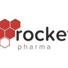 FDA Rejects Rocket Pharmaceuticals' Gene Therapy For Rare Immune Disorder, Asks For More Data, Stock Slides