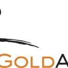 AngloGold Ashanti plc Announces Board Committee and Board Role Changes