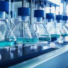 Is Bio-Rad Laboratories (BIO) a Lucrative Investment?