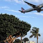 American Airlines looks to enhance in-flight experience with complimentary Wi-Fi