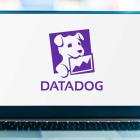 As Datadog Licks Wounds, Option Trade Could Return 33% By Month's End