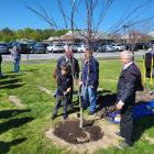Delmarva Power Marks Arbor Day With 150 Tree Planting Event