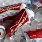 Beer is safe from weight-loss drug impacts, AB InBev CEO explains