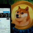 Dogecoin is soaring after Trump made Elon Musk's DOGE dreams come true