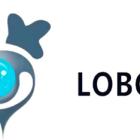 LOBO Reports Record Shipments in September, with Overseas Sales Volume Up 108% and Revenue Surging 254% Year-Over-Year